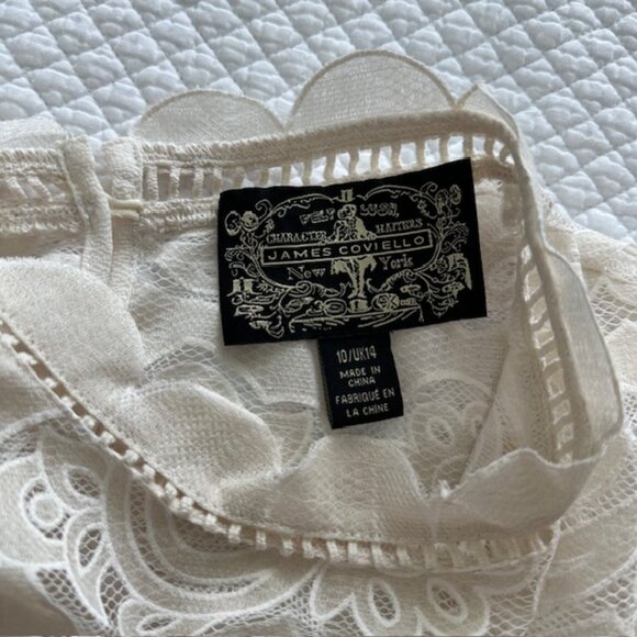 Anthropologie James Coviello Alice Lace Top Sz 10 - Picture 2 of 4